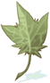 Huge Leaf