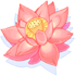 Lotus Flower