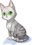 Costume American Shorthair Cat