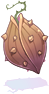 Seed Of Thorny Plant