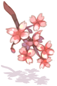Costume Cherryblossom in Mouth