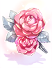 Rose of Choice