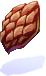 Bark Piece of Maple Tree