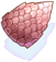 Rgan Shell