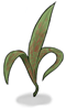 Deadly Noxious Herb