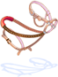 Reins Of Mount
