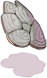 Hard Skin