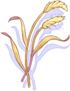 Bag of Grain