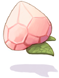 Solid Peach