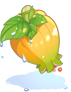 Fresh Fruit