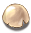 Eternal Egg Shell