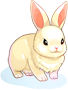 Costume White Rabbit