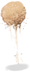 Sand Clump