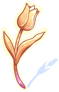 Golden Tulip Flower