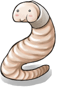 Fatty Chubby Earthworm