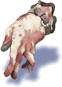 Executioner's Mitten
