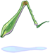 Grasshopper's Leg
