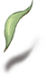 Leaves Of Grass