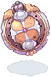 Shield Of King