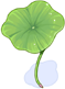 Lotus Leaf