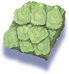 Old Shell